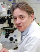 Professor Mathias Gautel Chair of Molecular Cardiology, and Head of School of Basic and Medical Biosciences, King’s College, London, UK