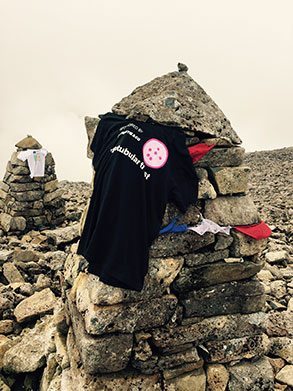Christie & Co raises over £35,000 for Myotubular Trust in 2017!