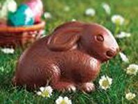 Chocolate’s a Winner!